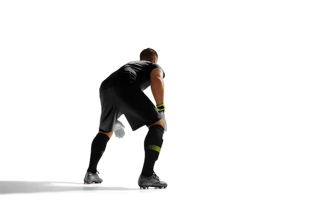 球友体育客服支持